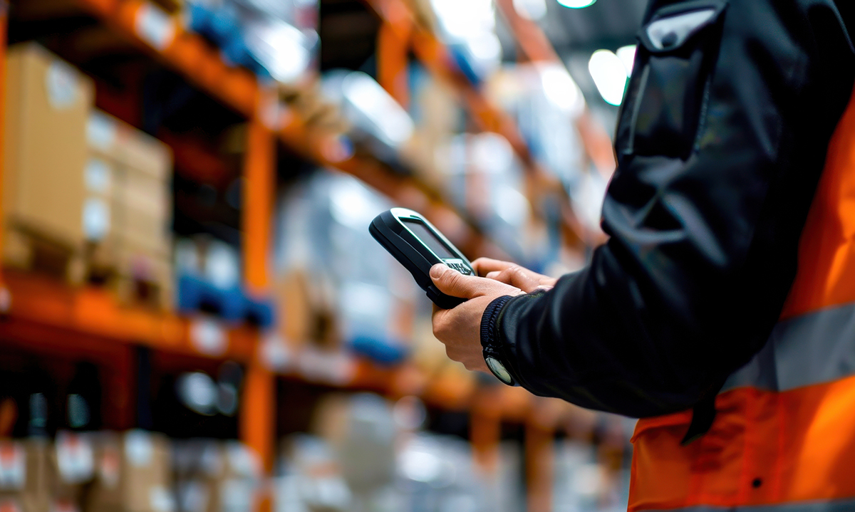 Il paradosso utile del wms che insegna logistica